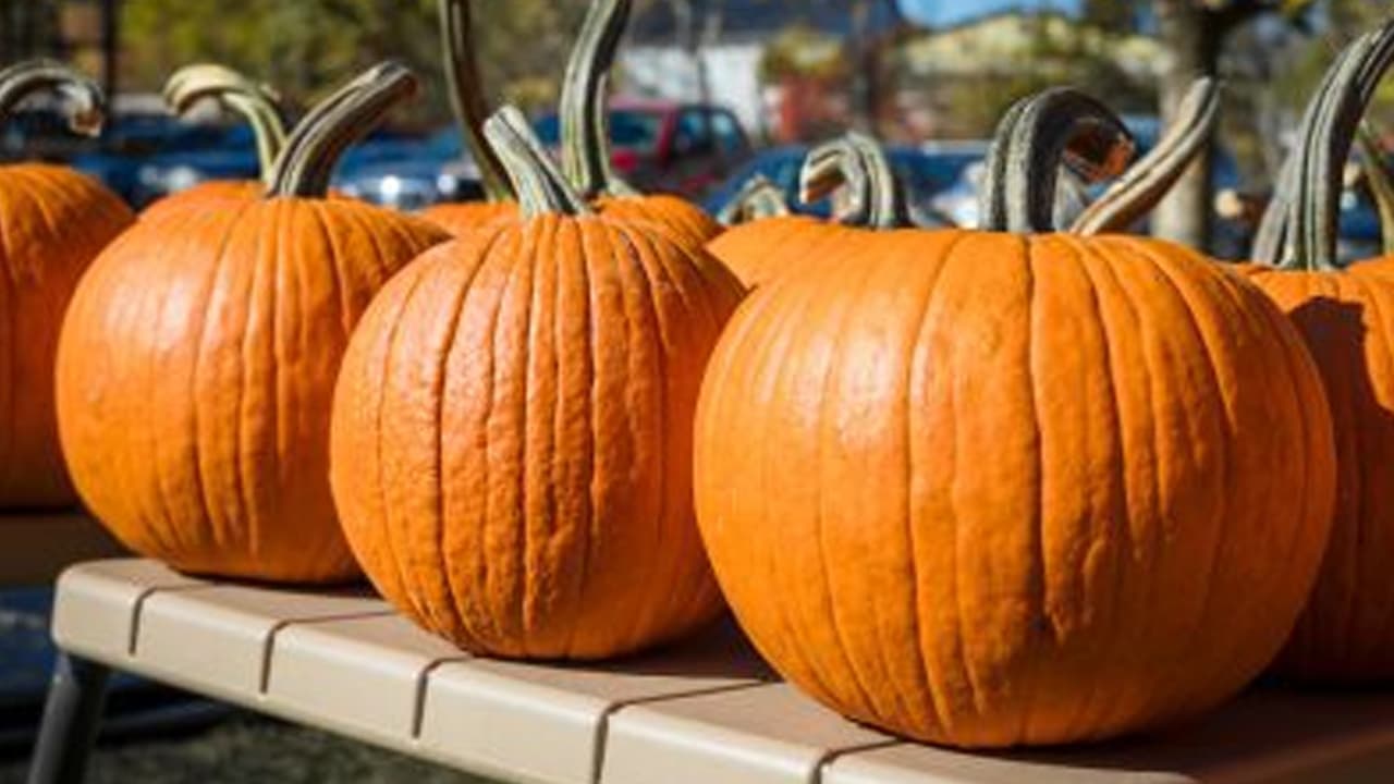 Hurricane City Park Trunk-or-Treat photo 2